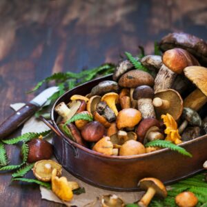 Wild mushrooms