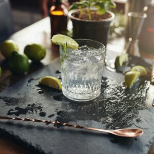 Glass of a freshly prepared gin and tonic